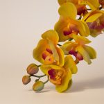 Orquídea em Silicone Grande 98cm Amarela e Rosa - Imagem 3