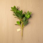 Bouquet Folhagem 45cm Verde