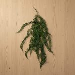 Pendente Folha Moeda 107cm