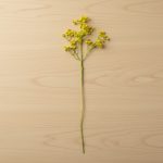 Haste Mosquitinho Colorido 65cm Amarelo