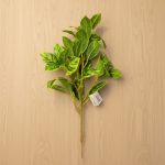 Bouquet Folhagem 45cm Verde Claro