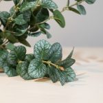 Bouquet Eucalipto 45cm - Imagem 2