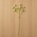 Haste Gypsophila 55cm