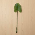 Folha Alocasia 75cm