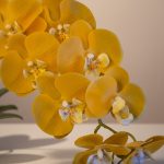 Orquídea em Silicone Grande 98cm Amarela - Imagem 3