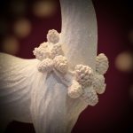 Rena em Resina em Pé 31X21,5cm Branco - Imagem 5