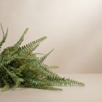 Pendente Samambaia 120cm - Imagem 3