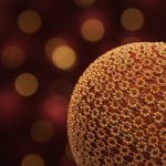 Kit Bolas Decoradas Glitter Vermelho e Acabamento Dourado 10cm c/2 - Imagem 2