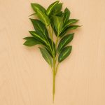 Bouquet Folhagem 45cm Verde Degradê