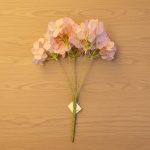 Hortência Grande com 5 Hastes 180Fls Rosa