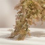 Galho Pendente Cedar 80cm - Imagem 3