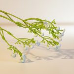 Haste Gypsophyla Pequena 65cm - Imagem 3