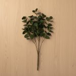 Bouquet Eucalipto 45cm