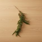 Pendente Samambaia 110cm