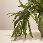 Pendente Samambaia 110cm - Imagem 3