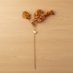 Haste de Pétalas Laranja 110cm