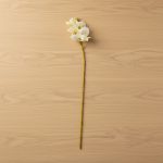 Orquídea 6 Flores 75cm Branco