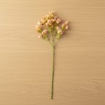 Haste Gypsophyla Rosa 60cm