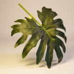 Folha Philodendrum 65cm - Imagem 3