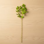 Haste Trevo 78cm Verde Claro