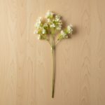 Haste Gypsophyla Branco 60cm