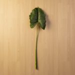 Folha Alocasia 110cm