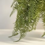 Pendente de Samambaia 97cm - Imagem 2