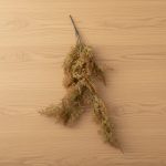 Galho Pendente Cedar 80cm