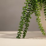 Pendente Dedo de Moça 80cm - Imagem 3