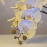 Orquídea 6 Flores 75cm Branco - Imagem 3