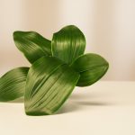 Folha de Orquidea 30cm - Imagem 3