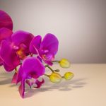 Orquídea em Silicone Grande 98cm Pink - Imagem 3