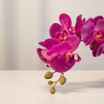 Orquídea 6 Flores 75cm Pink - Imagem 3